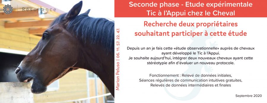 Affiche appel pour nouveaux chevaux étude tic à l'appui