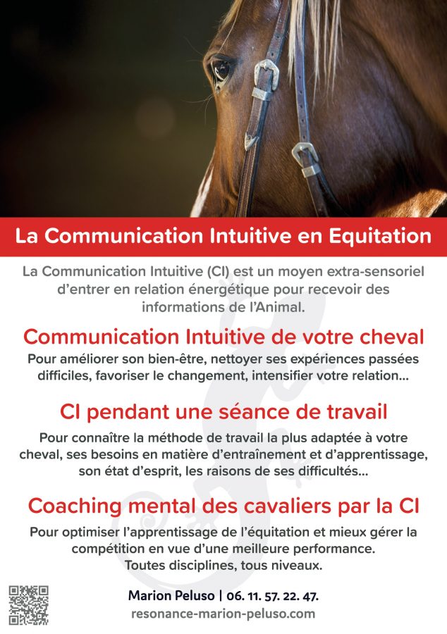 Communication Animale Equitation