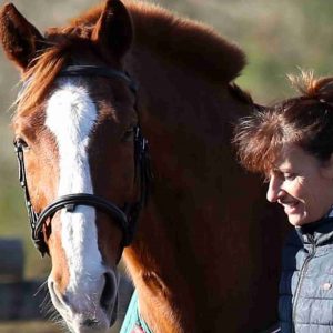 Communication animale depuis Soustons Landes