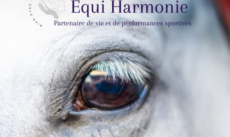 Equi Harmonie Bien etre cheval et performances