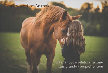 Compréhension de son animal par communication animale