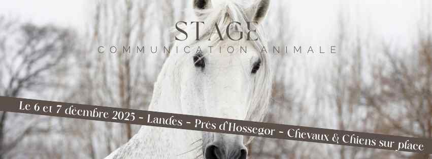 Stage Octobre 2025