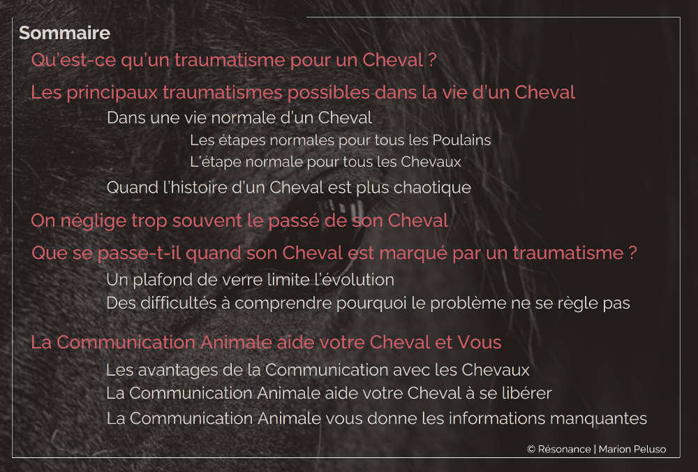 Sommaire Article Traumatisme cheval et Communication Animale