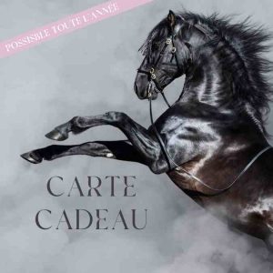 Idée cadeau cheval Idée cadeau cheval