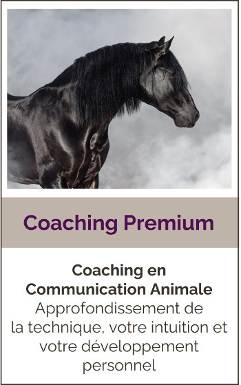 Coaching Premium Communication animale 2024
