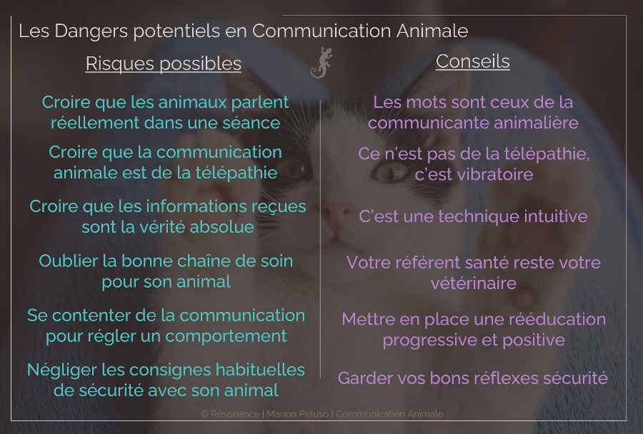 Conseils pour beneficier des avantages de communication animale