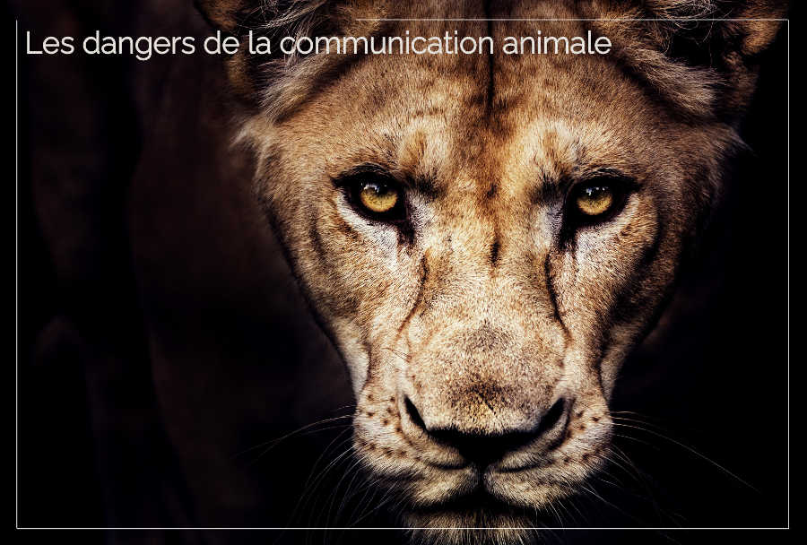 Dangers communication animale