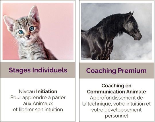 Formations individuelles communication animale