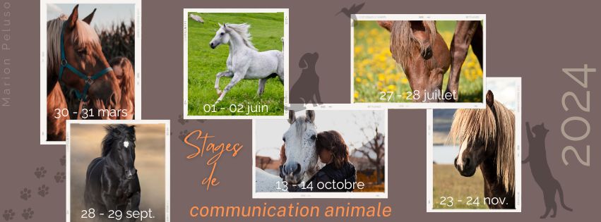 Dates stages communication animale en 2024