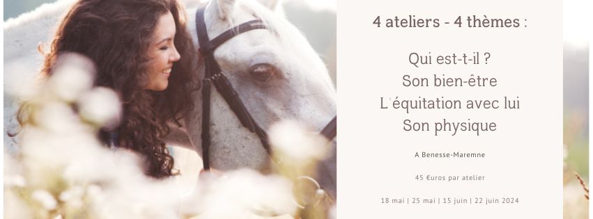 4 ateliers 2024 apprendre communication animale avec son cheval
