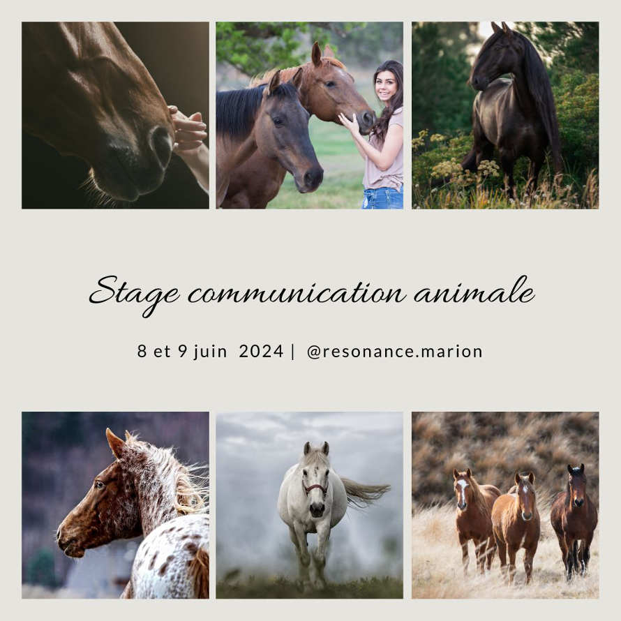 Stage communication animale 8 et 9 juin 2024