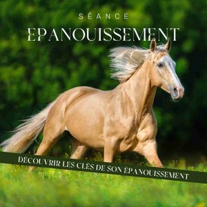 Communication animale cheval épanoui Communication animale cheval épanoui