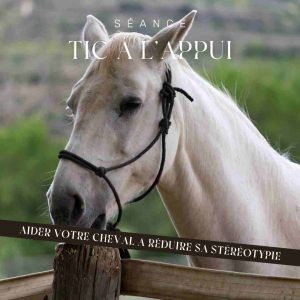 communication animale pour tic à l'appui du cheval communication animale pour tic à l'appui du cheval