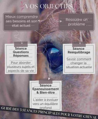 Guide pour bien choisir sa séance cheval Guide pour bien choisir sa séance cheval