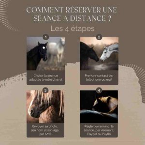 Réserver communication animale cheval Réserver communication animale cheval