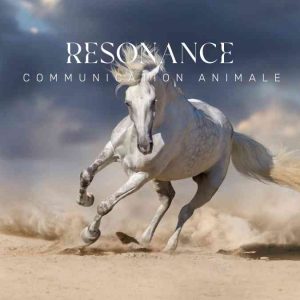 Résonance Communication animale