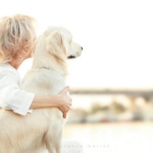 apprendre communication intuitive animale ""