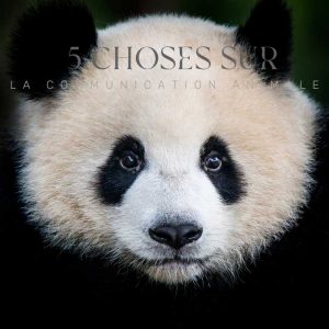 5 choses à savoir sur la communication animale