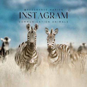 Instagram @resonance.marion