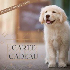 Carte cadeau Carte cadeau