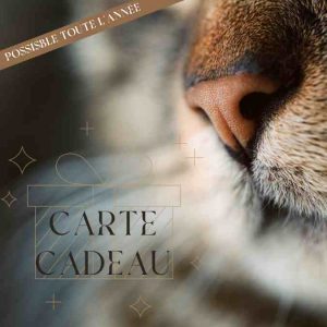 Idée cadeau Idée cadeau