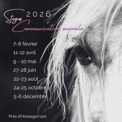 Calendrier Stages 2026 Communication animale Calendrier Stages 2026 Communication animale