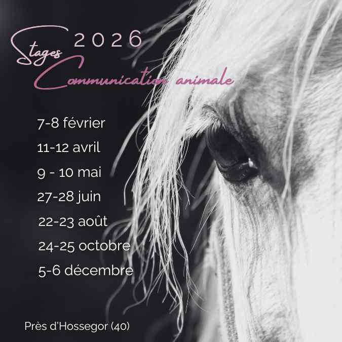 Calendrier Stages 2026 Communication animale