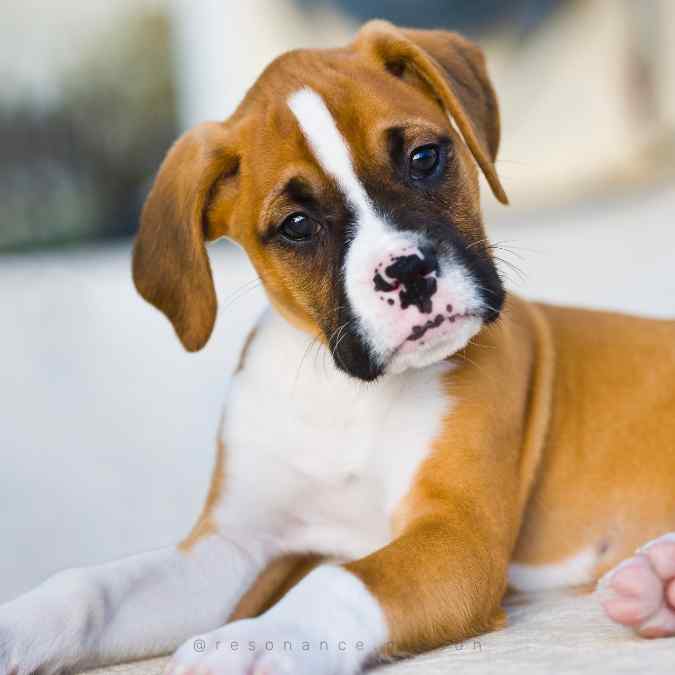 EFT pour libérer les émotions