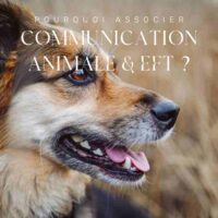 Article Pourquoi associer EFT et CA