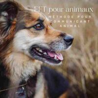 Formation EFT et CA Formation EFT et CA