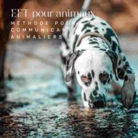 Formation pour communicants animaliers