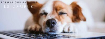 Le campus Résonance Le campus Résonance