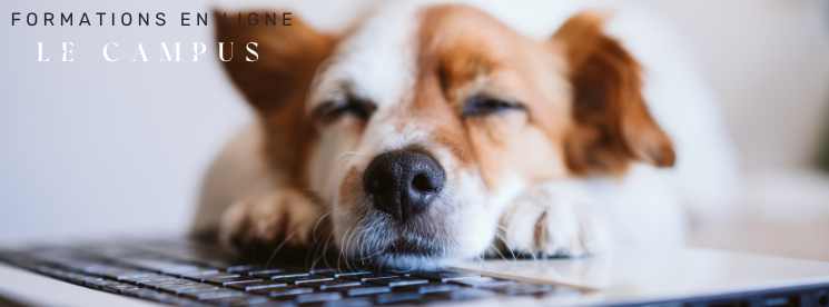 Le campus Résonance