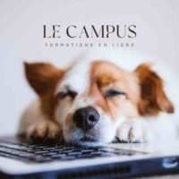 Le campus