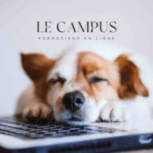 Le campus Le campus