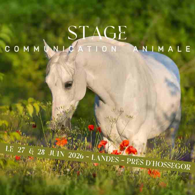 Stage communication animale juin 2026