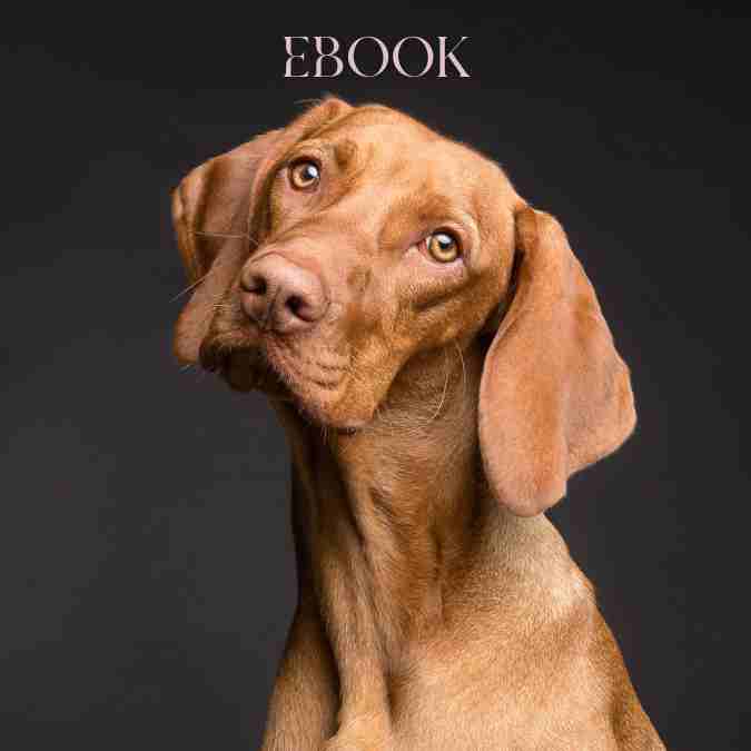 Ebook