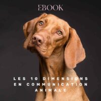 Ebook les 10 dimensions