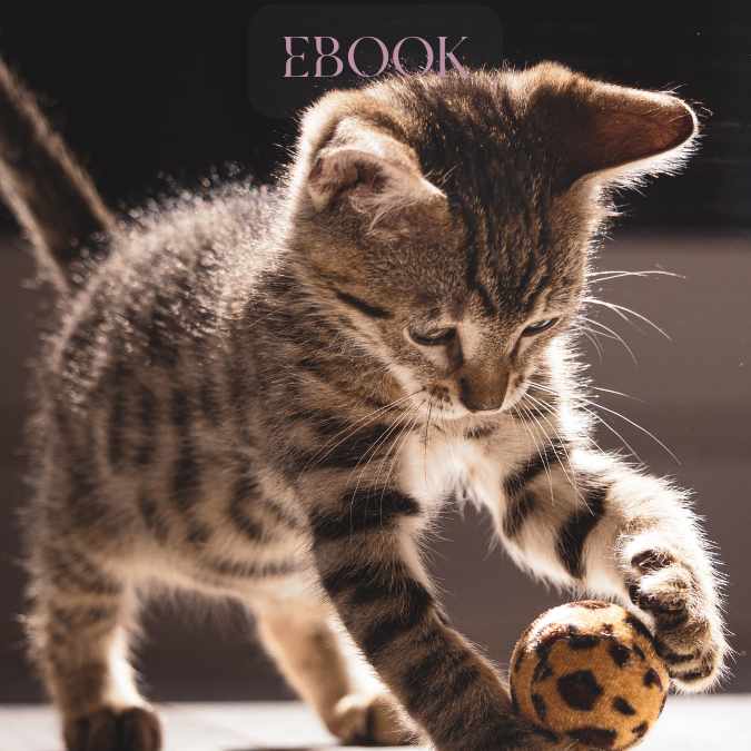 Ebook