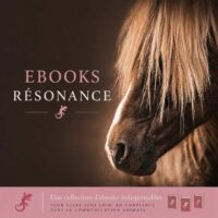 Ebooks Resonance 2026 Ebooks Resonance 2026