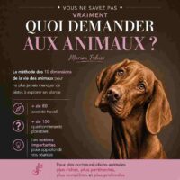 Méthode des 10 dimensions en CA