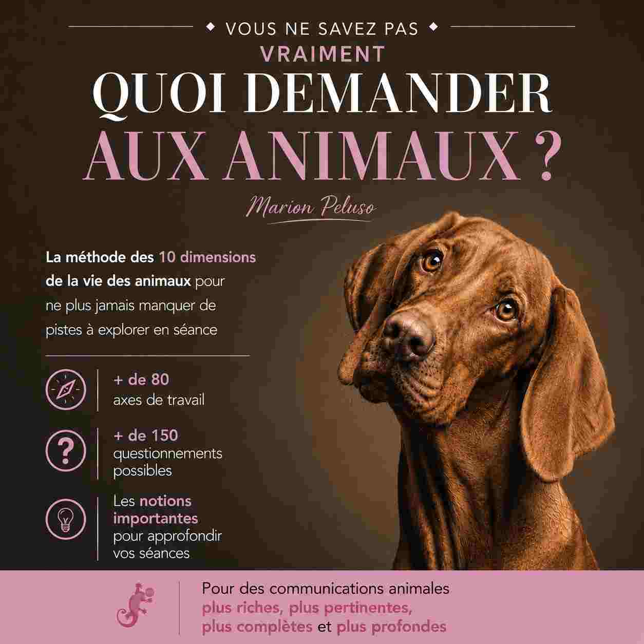 Ebook Les 10 dimensions en communication animale
