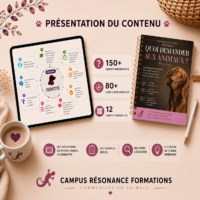 Présentation du contenu de l'ebook