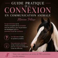 Ebook Connexion en Communication animale