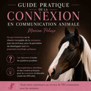 Ebook Connexion en Communication animale Ebook Connexion en Communication animale