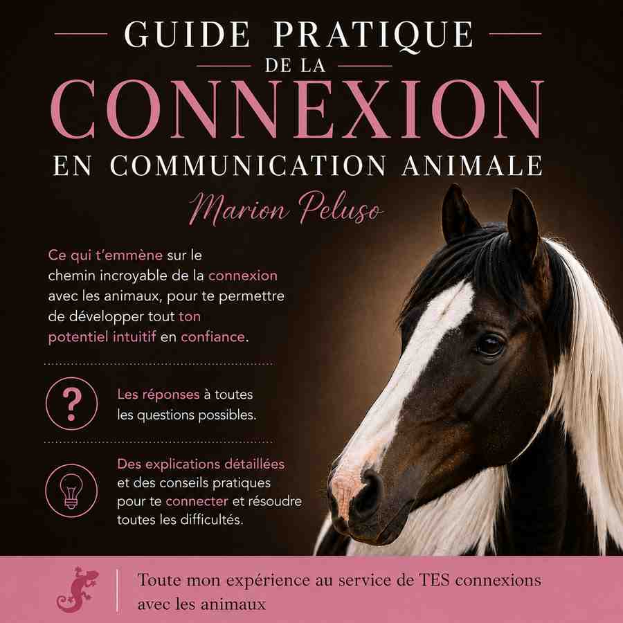 Ebook Connexion en Communication animale