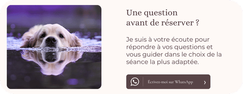 Contactez-moi par WhatsApp