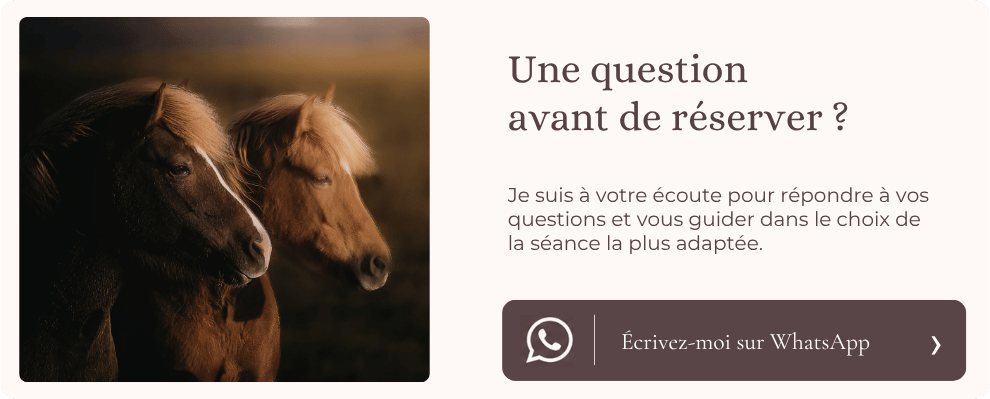 Contactez-moi par WhatsApp