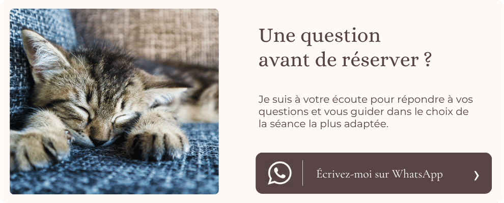 Contactez-moi par WhatsApp