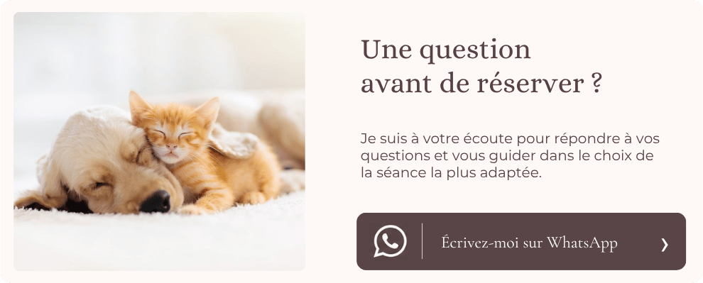 Contactez-moi par WhatsApp